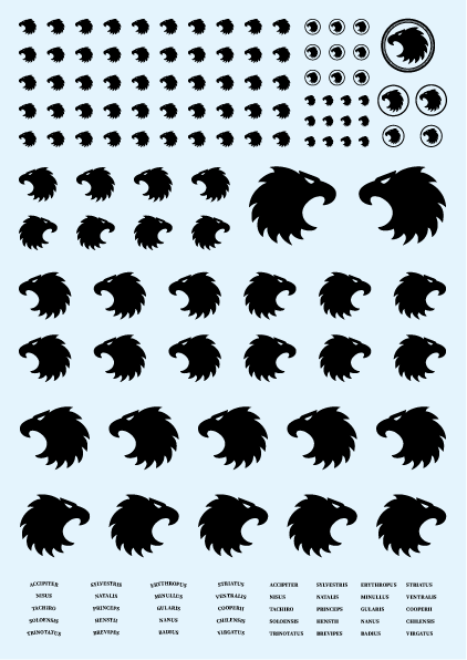 Hawk Heads