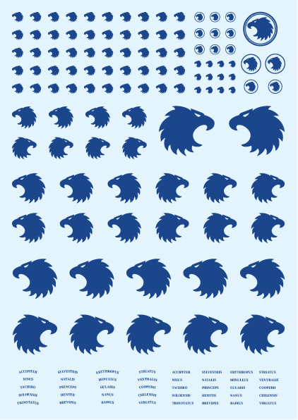 Hawk Heads