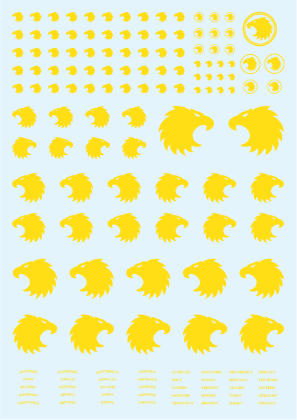 Hawk Heads