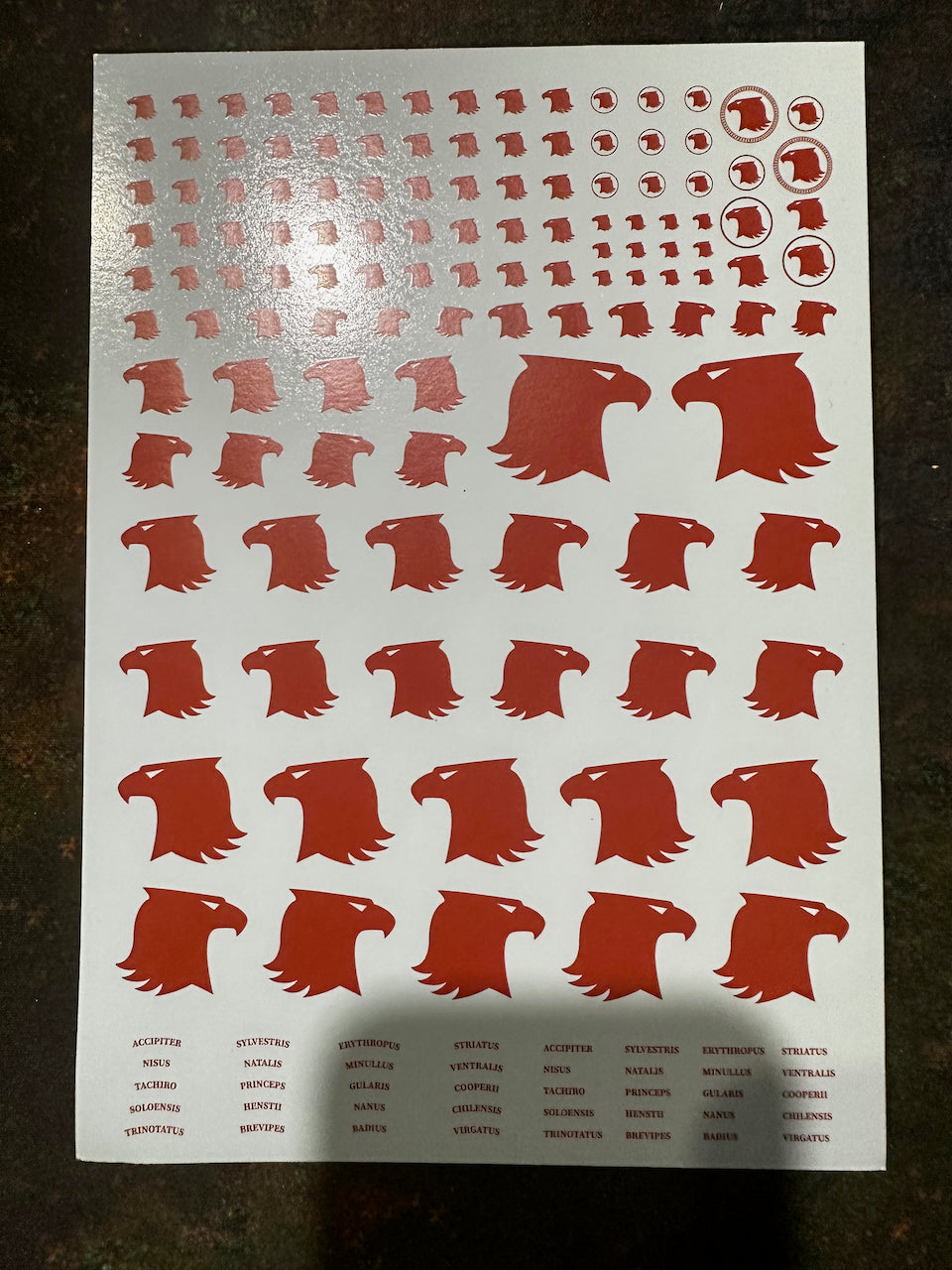 Clearance Decal Set - Red Raptor Heads (old)